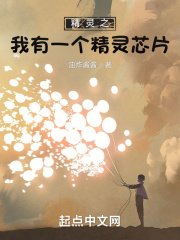 精靈之我有一個精靈晶片